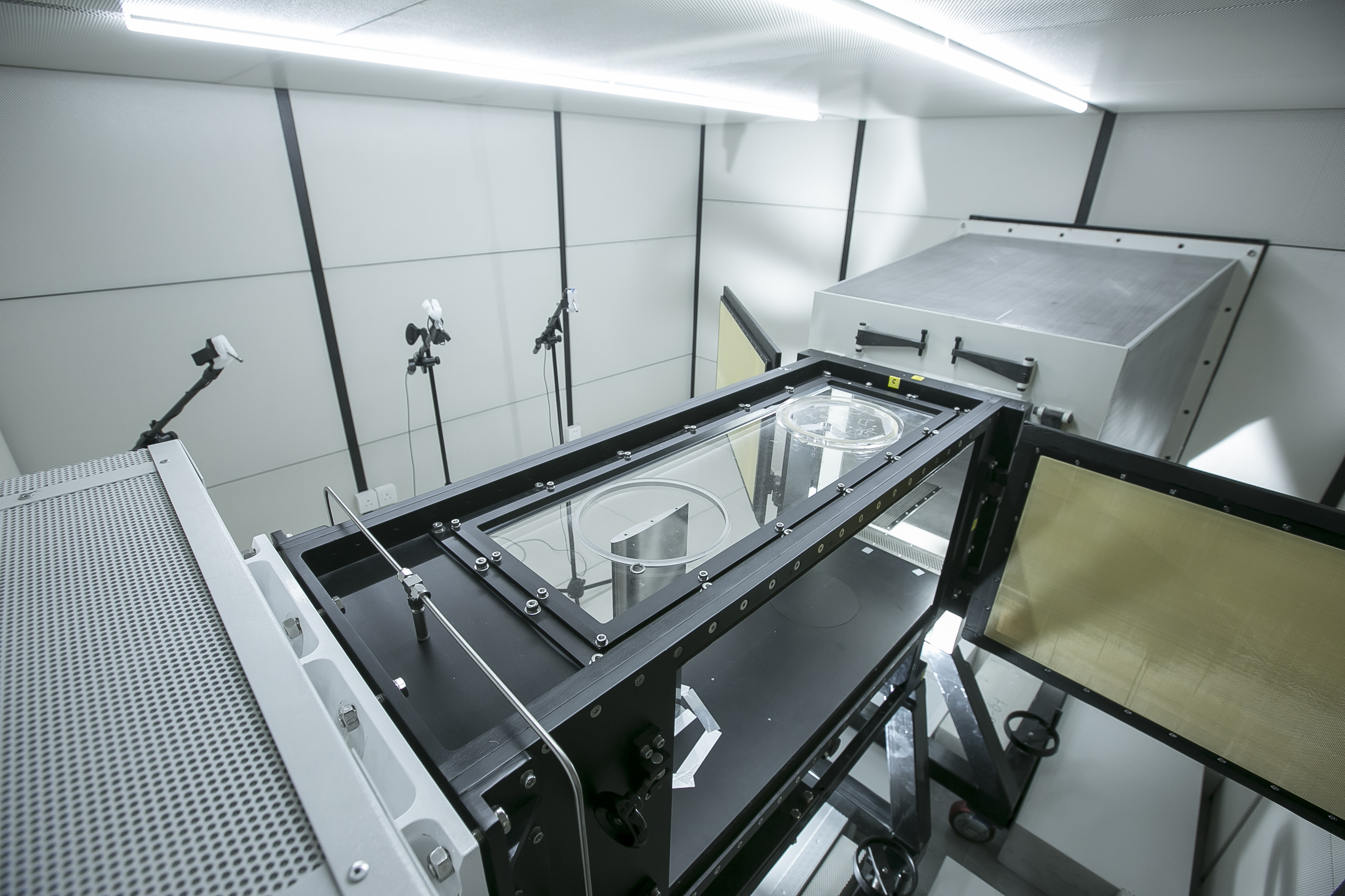 Aerodynamic test facility with an installed model